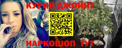 наркотики Будённовск